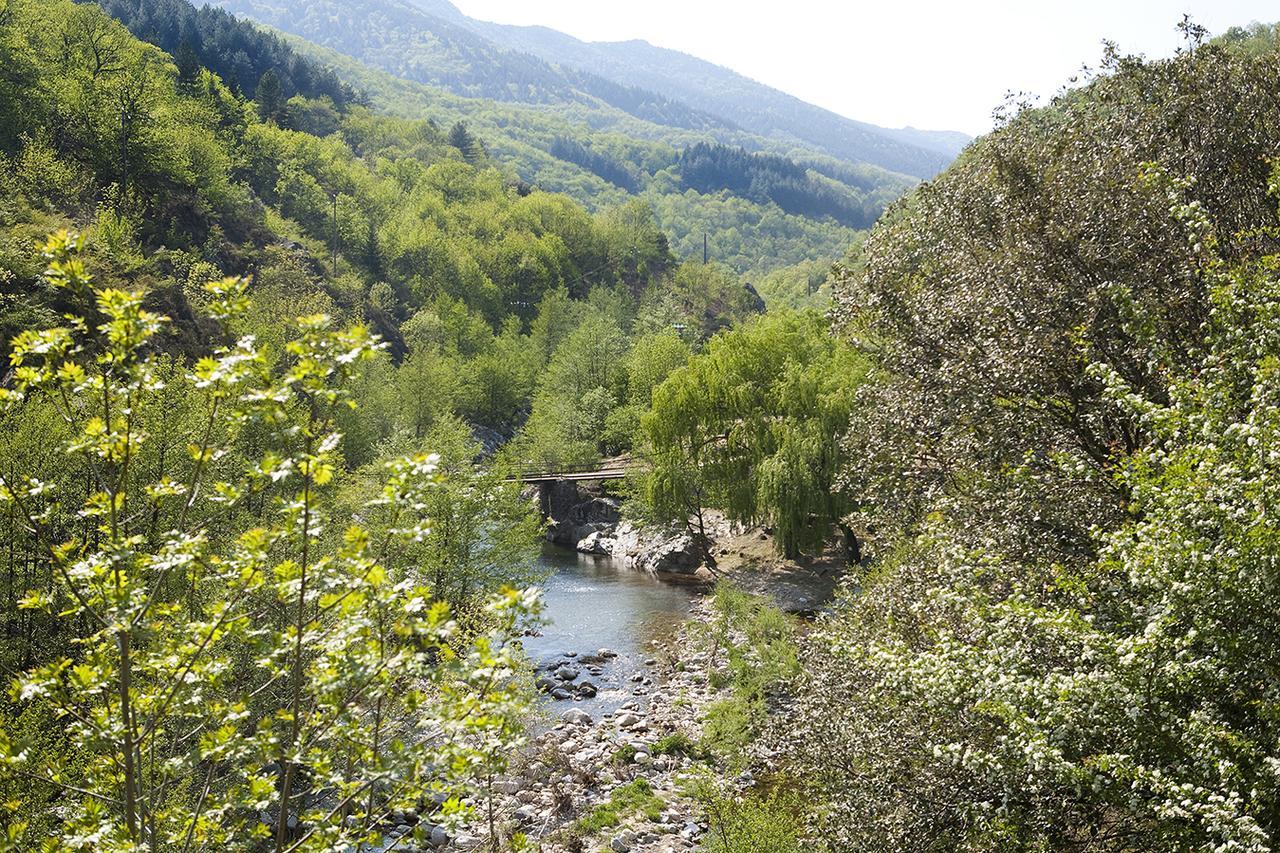 Logis Hotel-Restaurant Le Tanargue Valgorge Rom bilde